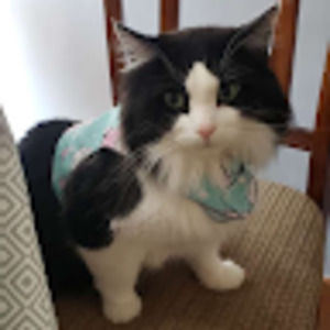 Meet your Posher, Fionaaleina